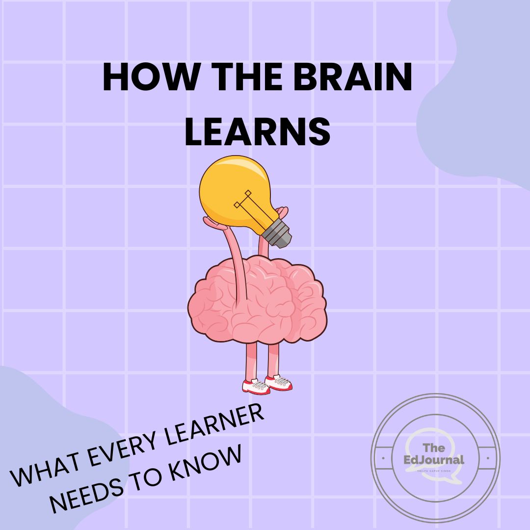 How the Brain Learns: What Every Student Should Know